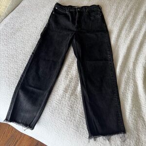 Everlane The Way High Jean Black Denim